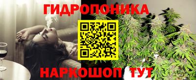 сатива Гусиноозёрск