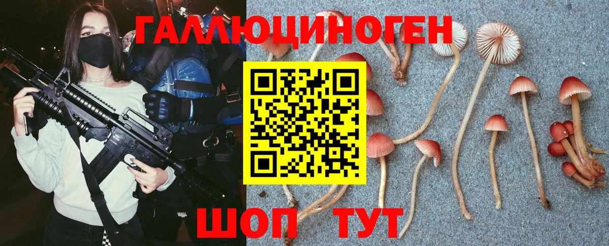 Галлюциногенные грибы Psilocybe  Вход с VPN  Галлюциногенные грибы Psilocybe  Нижний Новгород 