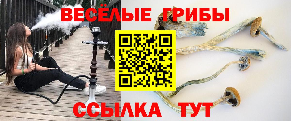 Галлюциногенные грибы Cubensis Нижний Новгород