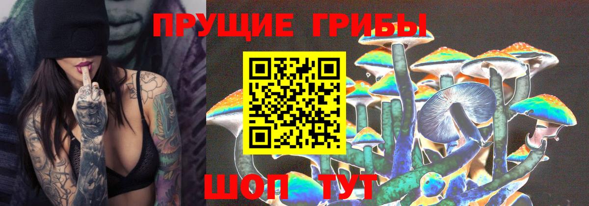 Галлюциногенные грибы прущие грибы Нижний Новгород