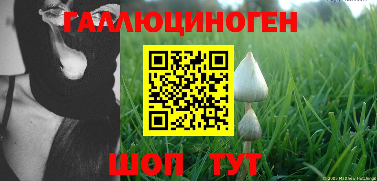 Псилоцибиновые грибы прущие грибы  купить   Нижний Новгород 